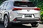 2022 Lexus UX 300e