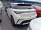 2025 BYD Dolphin