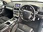 2009 Ford Falcon