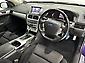 2009 Ford Falcon