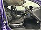 2009 Ford Falcon