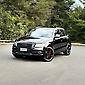 2009 Audi Q5