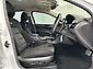 2013 Ford Falcon