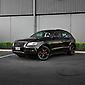 2009 Audi Q5