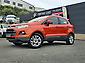 2014 Ford Ecosport