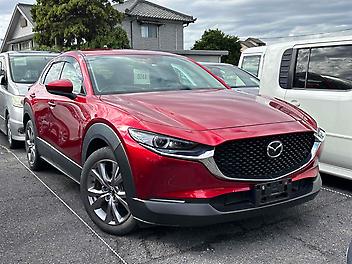 35,595 Km, Wagon, 1997 cc, Petrol engine, Auto